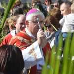 Photo Gallery: Palm Sunday in the Pearl of the Adriatic 10 Palm Sunday