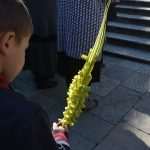 Photo Gallery: Palm Sunday in the Pearl of the Adriatic 18 Palm Sunday