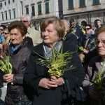 Photo Gallery: Palm Sunday in the Pearl of the Adriatic 22 Palm Sunday