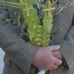 Photo Gallery: Palm Sunday in the Pearl of the Adriatic 23 Palm Sunday