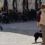 Photo Gallery: Palm Sunday in the Pearl of the Adriatic 33 Palm Sunday