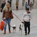 Oh, Happy Day... 5 djir stradun28032015 18