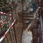 The white fluffy surprise in Dubrovnik 18 storm