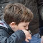 Oysters and music: the perfect recipe for a great day 6 Oyster Dat Stradun