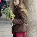 Oysters and music: the perfect recipe for a great day 8 Oyster Dat Stradun