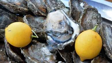 Ston Oyster Day 2015