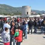 Photo Gallery: Ston promotes its famous Oysters 44 Ston Oyster Day 2015