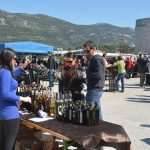 Photo Gallery: Ston promotes its famous Oysters 32 Ston Oyster Day 2015