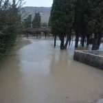 The white fluffy surprise in Dubrovnik 11 storm