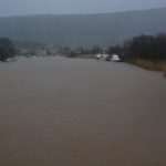 The white fluffy surprise in Dubrovnik 8 storm