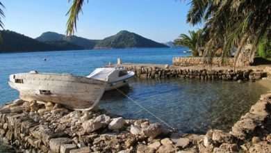 Actress wanted: Producers are scouting for the main actress of the series 'Magda Mozarka' 1 sipan