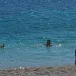 first swm Dubrovnik 2015