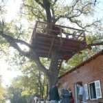 cadmos adrenalin5512