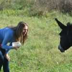 cadmos adrenalin5528