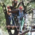 cadmos adrenalin5708