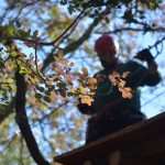 cadmos adrenalin5776