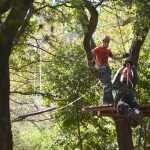 cadmos adrenalin5798