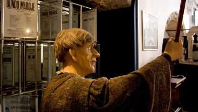 home of marin drzic16