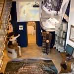 home of marin drzic7