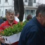 Photo: Dubrovnik Flower Fair impressed tourists 5 Flower Fair Dubrovnik