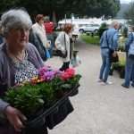 Photo: Dubrovnik Flower Fair impressed tourists 3 Flower Fair Dubrovnik