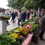Photo: Dubrovnik Flower Fair impressed tourists 19 Flower Fair Dubrovnik