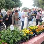 Photo: Dubrovnik Flower Fair impressed tourists 20 Flower Fair Dubrovnik