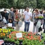 Photo: Dubrovnik Flower Fair impressed tourists 14 Flower Fair Dubrovnik