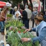 Photo: Dubrovnik Flower Fair impressed tourists 13 Flower Fair Dubrovnik