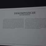 Dali in Dubrovnik: The exhibition for the lovers of fine art 10 Salvador Dali