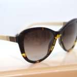 World famous sunglasses that will satisfy all tastes 32 Borza grupa016