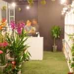 Le Salon – fantastic bouquets for weddings and other occasions 2 Le Salon