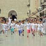 Runners shouted: This city is beautiful! 69 half marathon dubrovnik