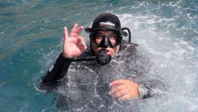 Dubrovnik Eko 2015: 80 divers will clean the Adriatic Sea 12 ronioc1