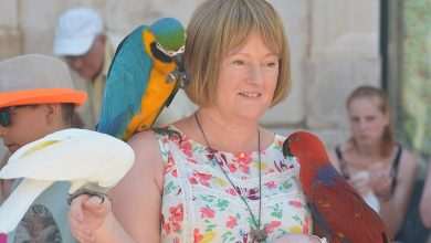 From January to the end of May, Dubrovnik is extraordinarily successful! 8 tourist