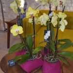 Croatian design for the whole world: 2nd Design Tourism Expo & Store exhibition 34 design expo 3