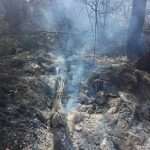 Fire on Peljesac, Trstenik evacuated! 5 pozar 9