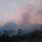 Fire on Peljesac, Trstenik evacuated! 11 pozar trstenik 2015 4