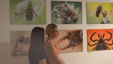 Doors of the Natural History Museum re-opened for visitors 16 prirodoslovni muzej press 20