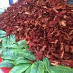 Italy in Dubrovnik: Come and enjoy in olive oil, cheese and sausages 5 Italia Fest 2015 1