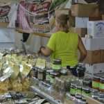 PHOTO GALLERY Feel and taste Italia in Dubrovnik! 10 Italia Fest Lazareti 12