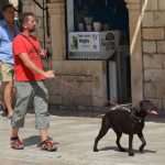 djir stradun 30082015 14