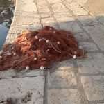 Live Like a Local: Have You Heard About Captain Srdan and His Fish Picnic? 9 p18mn639g819jd1e1utq61jn428610