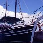 Live Like a Local: Have You Heard About Captain Srdan and His Fish Picnic? 10 sv martin 10