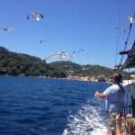 Live Like a Local: Have You Heard About Captain Srdan and His Fish Picnic? 3 sv martin 2