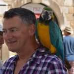 Photo Gallery: Here comes the Sun again! 4 djir 06092015 4