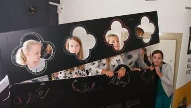 Do Not Miss the Dubrovnik Film Festival! 11 Duff prve radionice i projekcije 1