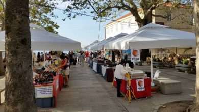Healthy Food and Local Products @ Pile 2 Fair of healthy food and local products