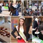Bled in Dubrovnik: Slovenian Food and Folklore in the Sponza Palace 1 good-food-bled