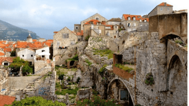 Top 10 Instagram photos of the week 5-11 October 2015 70 nozokoneko